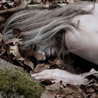 /album/fotogalerie-/hfdhfd-jpg/